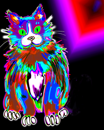 DC Langer's Dizzy Cats