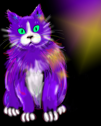 DC Langer's DizzyCats